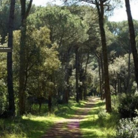 Piuma Celeste A Due Passi Dal Mare E Dal Centro Storico ليدو دي أوستيا المظهر الخارجي الصورة